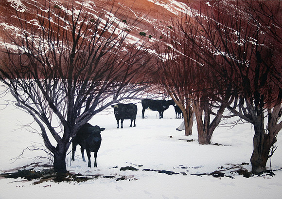 angus in the trees |watercolor | 14 x 20 SOLD