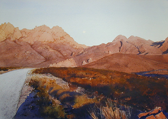 evening glow, organs |watercolor | 14 x 20