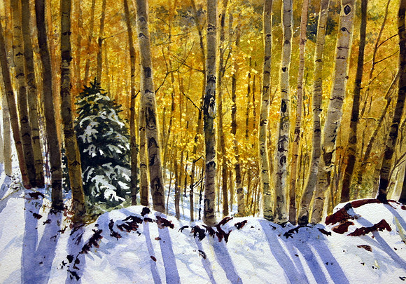 aspens and lone pine | watercolor | 14 x 20 • SOLD