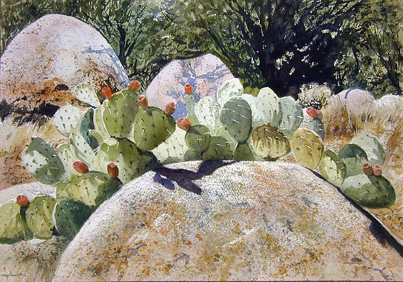 cactus halo |watercolor | 14 x 20 SOLD