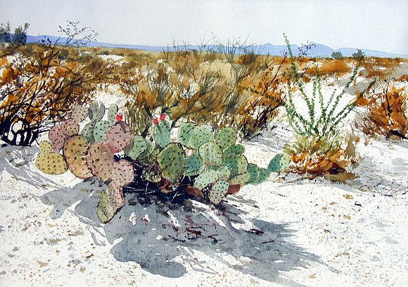 Cactus and Mesquite |watercolor | 14 x 20 SOLD