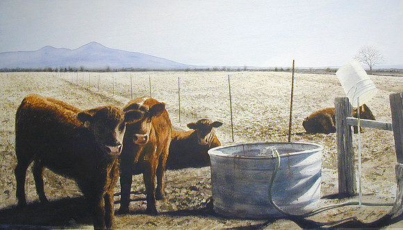 calves |watercolor | 27 x 39