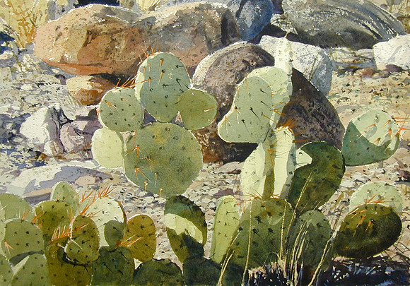 cactus and rocks  |watercolor | 14 x 20 SOLD