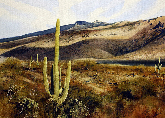 arizona desert |watercolor | 14 x 20