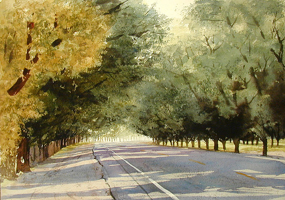 canopy |watercolor | 14 x 20 SOLD