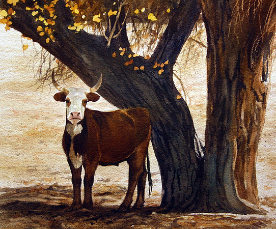 under the tree |watercolor | 14 x 14