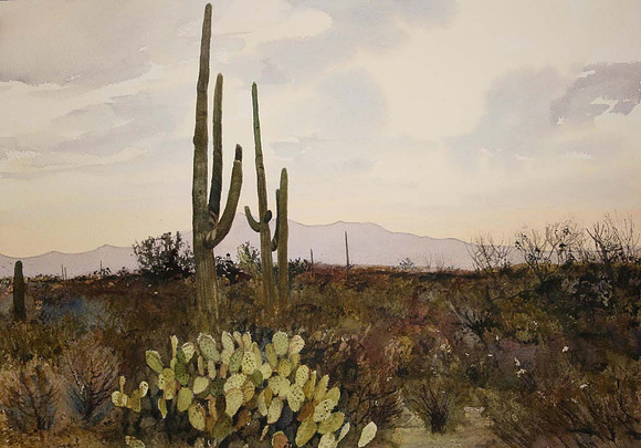 arizona desert |watercolor | 14 x 20 SOLD