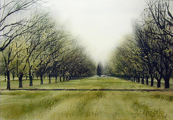 stahmann spring  |watercolor | 14 x 20 SOLD