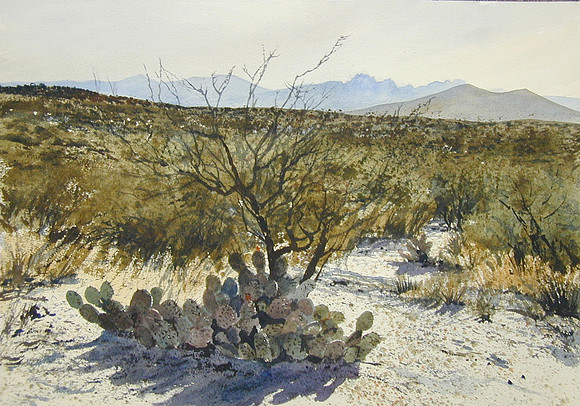 morning shadows |watercolor | 14 x 20