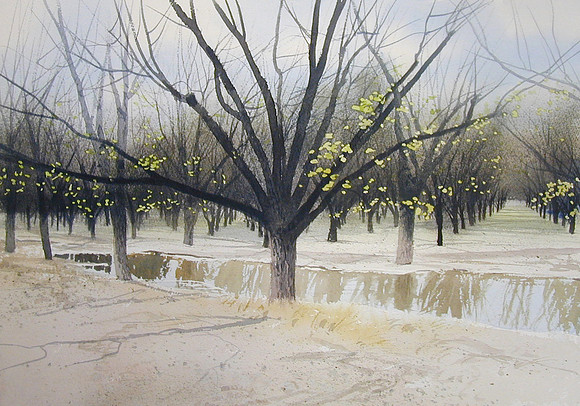 spring rain |watercolor | 14 x 20 SOLD