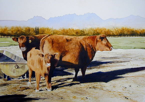 new generation |watercolor | 14 x 20 SOLD