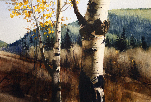 birch and hill |watercolor | 14 x 20 SOLD