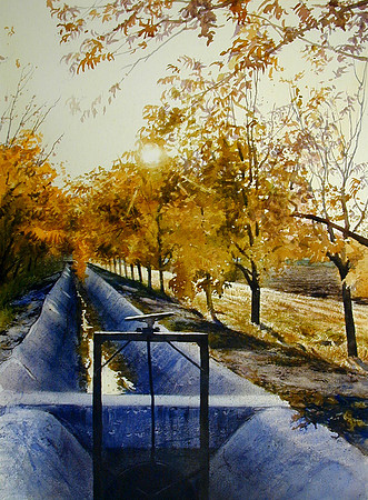 light through the trees |watercolor | 30 x 22