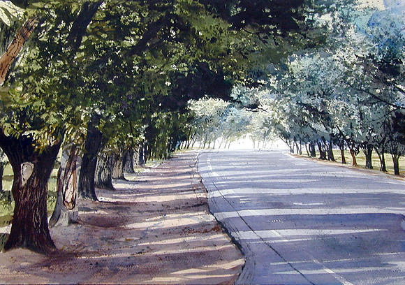 highway 28, june  |watercolor | 14 x 20 SOLD