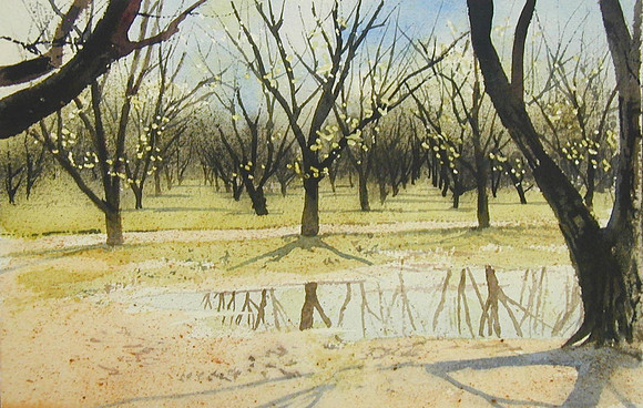 orchard reflection sketch |watercolor | 5 x 7 SOLD