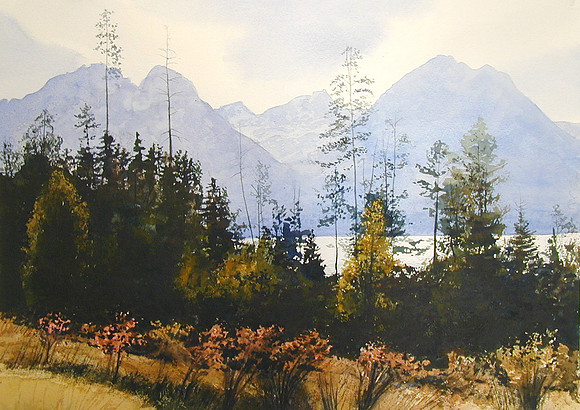 through the trees |watercolor | 14 x 20 SOLD