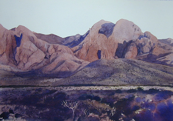 organs in evening |watercolor | 14 x 20