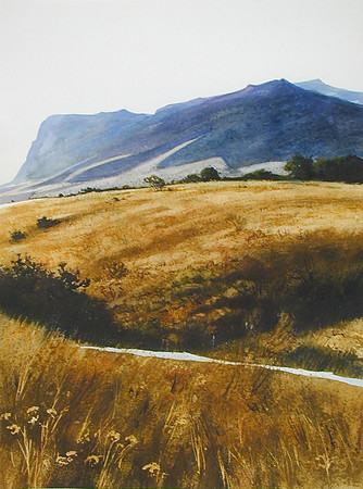 mountain and field  |watercolor | 30 x 22 SOLD