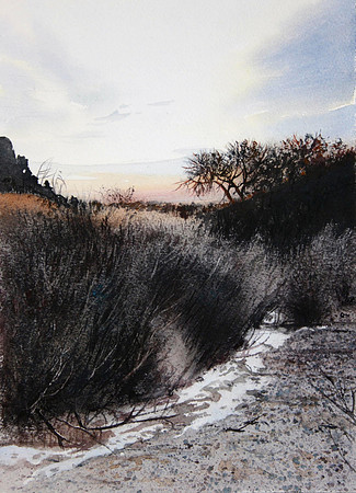 snow and gray brush |watercolor | 16 x 10