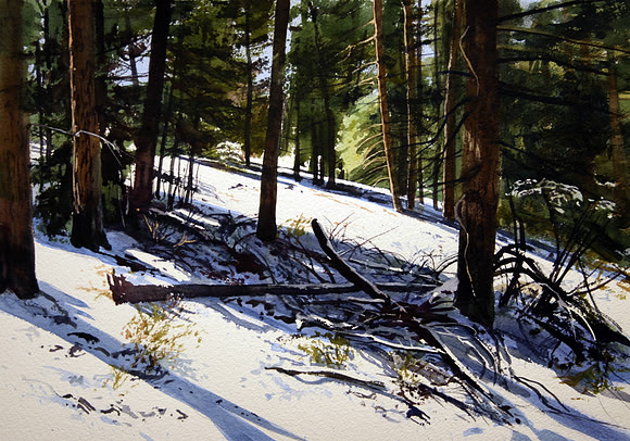 snow in the pines | watercolor | 14 x 20