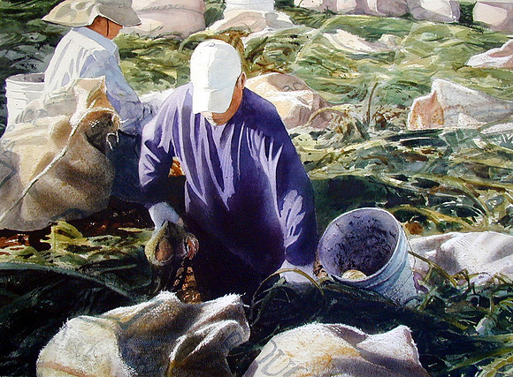 picking onions |watercolor | 22 x 30 SOLD