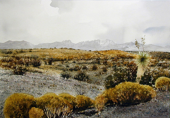 desert rain |watercolor | 14 x 20 SOLD -GICLEE AVAILABLE