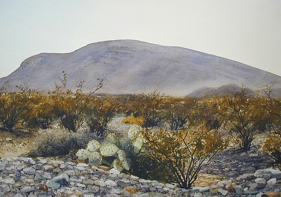 mountain view |watercolor | 14 x 20