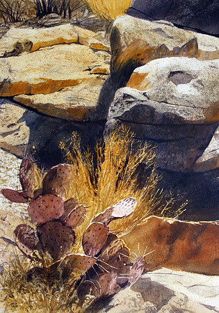 nestled in the rocks |watercolor | 20 x 14 SOLD - GICLEE AVAILABLE
