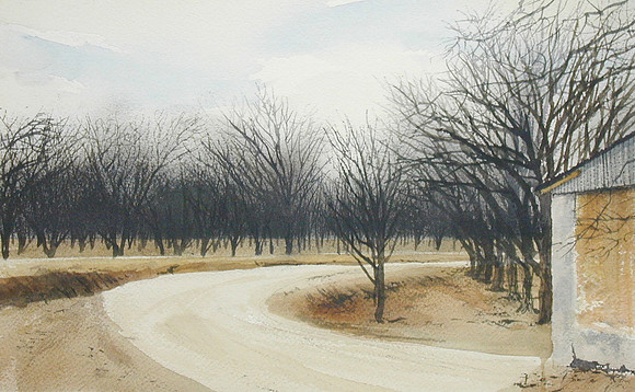 pecan trees and shed sketch |watercolor | 5 x 7 SOLD