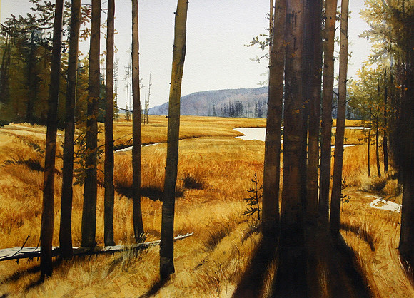 through the pines |watercolor | 22 x 30 SOLD
