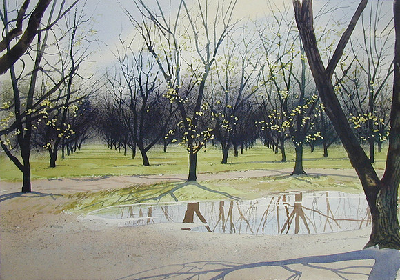 orchard reflection |watercolor | 14 x 20 SOLD