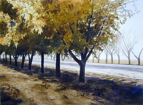 pecan trees in november |watercolor | 22 x 30