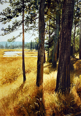 edge of the woods | watercolor | 20 x 14 • SOLD