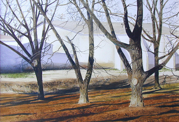 four pecan trees |watercolor | 14 x 20 SOLD -GICLEE AVAILABLE