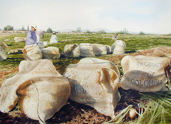 onion field |watercolor | 22 x 30