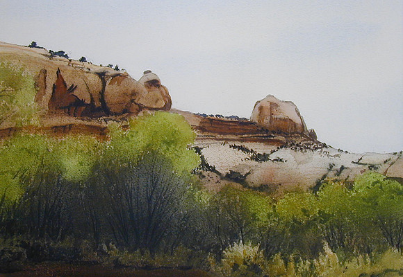 spring in the canyon
