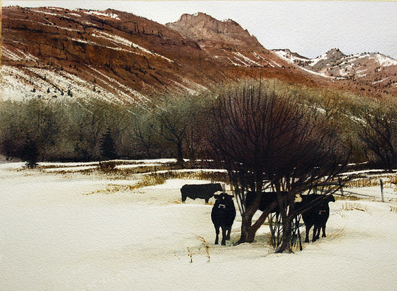 huddled together |watercolor | 14 x 20 SOLD
