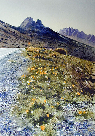 orange poppies |watercolor | 20 x 14 SOLD
