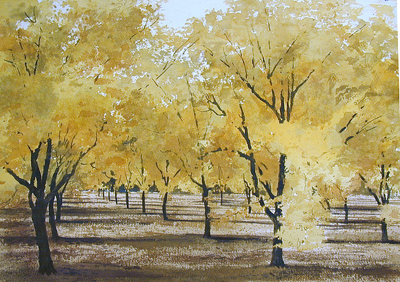 mesilla pecans  |watercolor | 14 x 20 SOLD