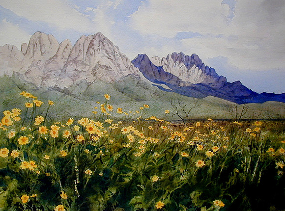 wildflowers |watercolor | 22 x 30 GICLEE AVAILABLE