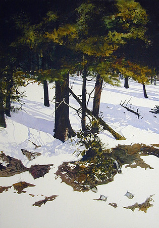 ruidoso pines |watercolor | 20 x 14 SOLD
