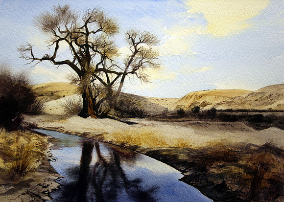 cottonwood reflections | watercolor | 14 x 20 • SOLD
