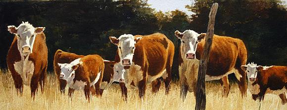 herfords |watercolor | 7 x 20 SOLD - GICLEE AVAILABLE