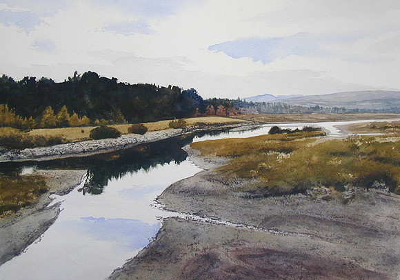 snake reflections |watercolor | 14 x 20