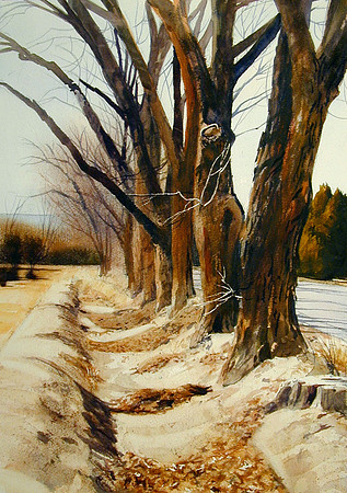 trees on union road |watercolor | 20 x 14 SOLD