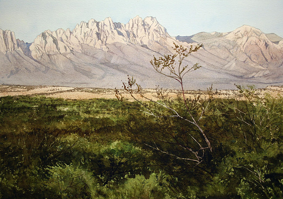 the organs |watercolor | 14 x 20 SOLD