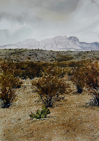 rain on the desert |watercolor | 20 x 14