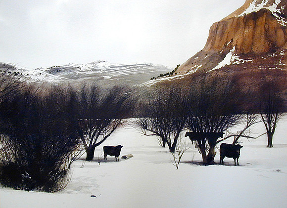 in the snow |watercolor | 22 x 30 SOLD