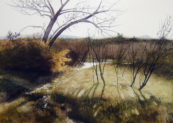 bosque light |watercolor | 10 x 14 SOLD