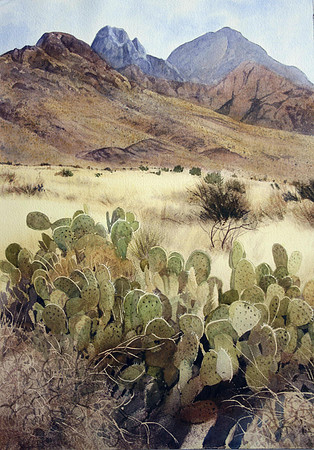 hike in baylor canyon |watercolor | 20 x 14 SOLD